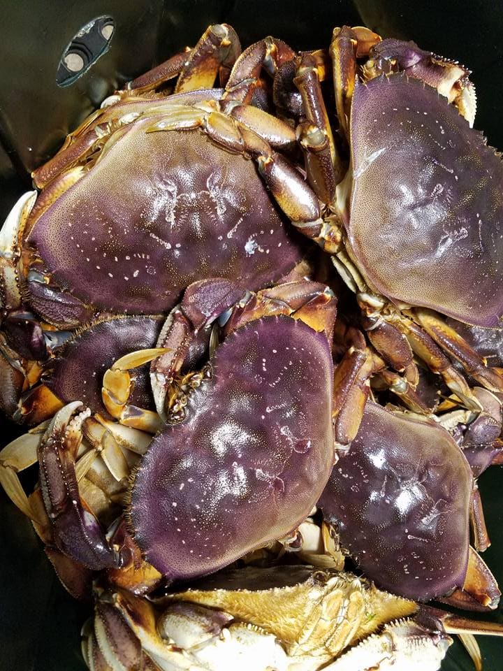 OTC-crabs